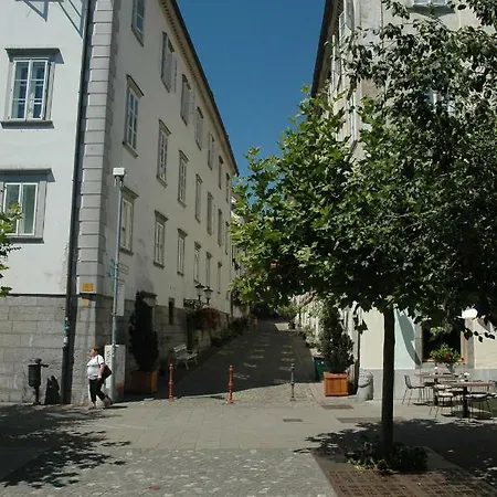 Apartment Vitez Ii Ljubljana