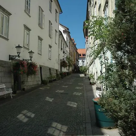 Appartement Vitez Ii *