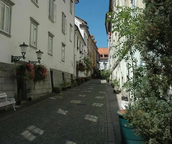 Appartement Vitez Ii *